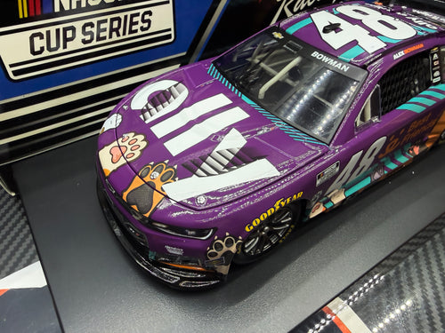 2026 Alex Bowman 1:24 Ally Best Friends NASCAR Diecast