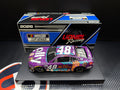 2026 Alex Bowman 1:24 Ally Best Friends NASCAR Diecast