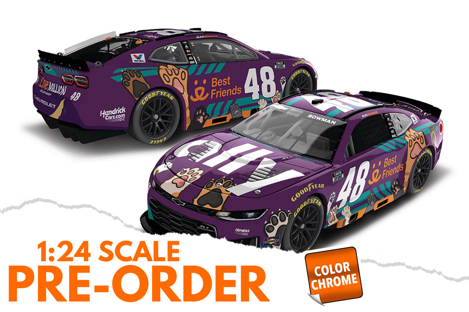 2026 Alex Bowman 1:24 Ally Best Friends COLOR CHROME NASCAR Diecast